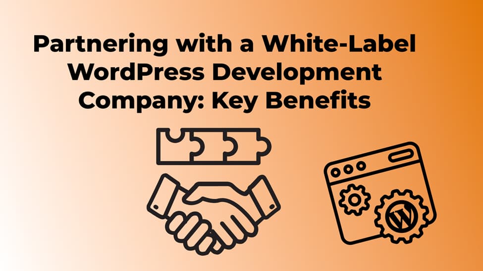 Why Partnering with a White-Label WordPress Development Company Might Be the Best Business Move You Didn’t Know You Needed